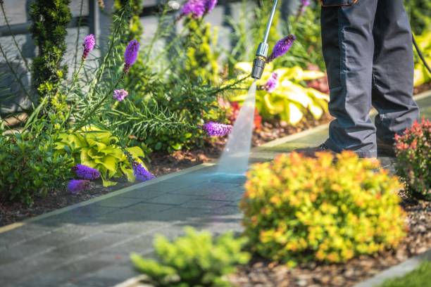 Best Restaurant Pressure Washing  in Hondo, TX